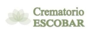 Logo - Desaevo